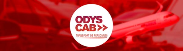 Alternative à un Taxi pour Animaux à Paris